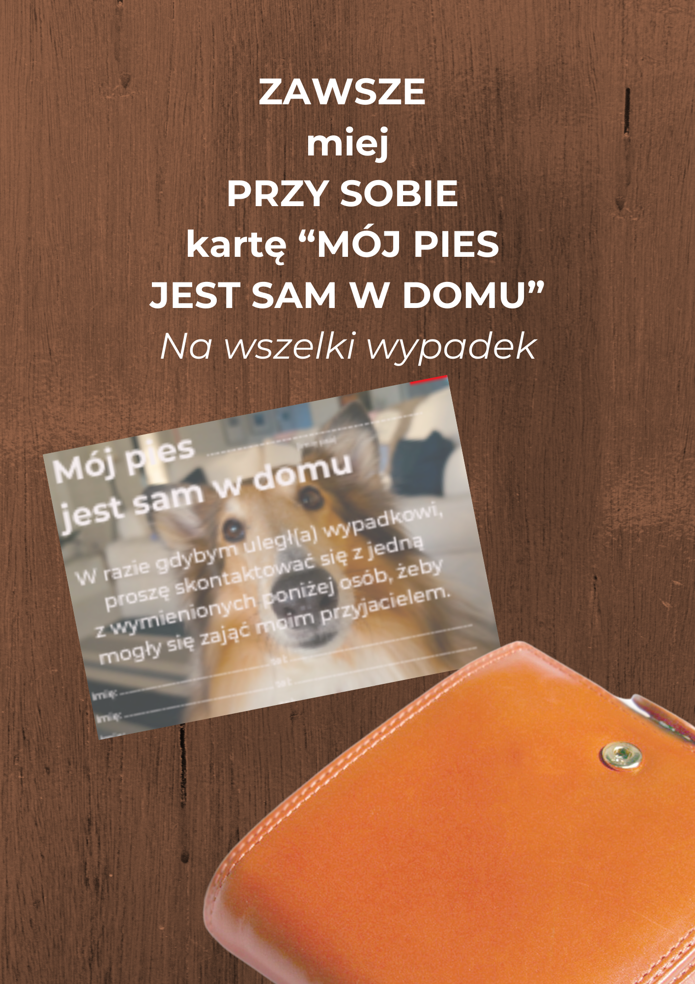“MÓJ PIES JEST SAM W DOMU” Na landing Moj pies jest sam w domu karta